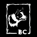 Border Collie Woodcut