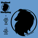 Shetland Sheepdog Circle Head