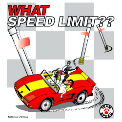 Agility T-Shirts and Sweatshirts