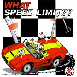 Agility T-Shirts and Sweatshirts