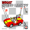 What Speed Limit--Border Collie