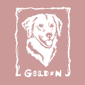Golden Woodcut
