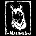 Belgian Malinois Woodcut (Head-On)