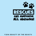 Rescues Can Overcome All Obstacles