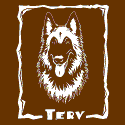 Terv Woodcut