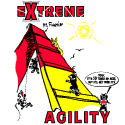 Extreme Agility--Frametamers