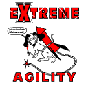 Extreme Agility--Rocket Dog